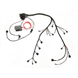 ECOTEC Harness and ECM